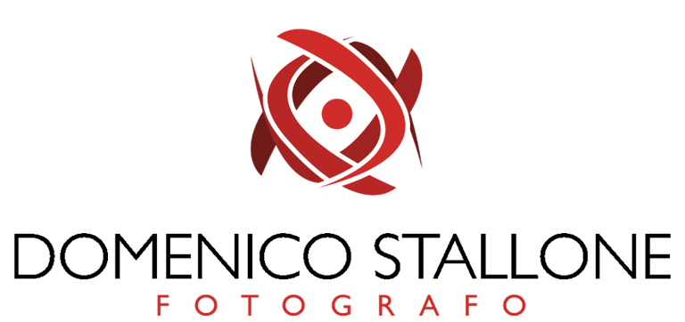 Domenico Stallone logo