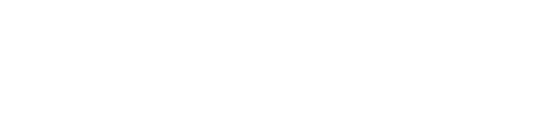 Nikola IT Consulting Services logo