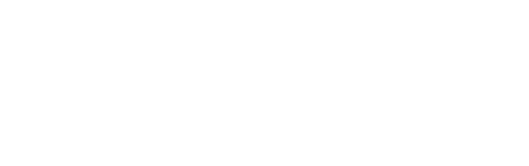 Next Step Home Move Management logo