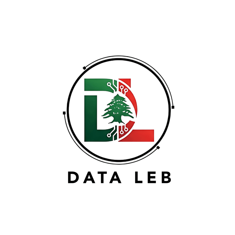 Data Leb logo