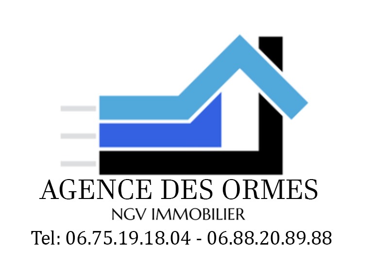 NGV Immobilier logo