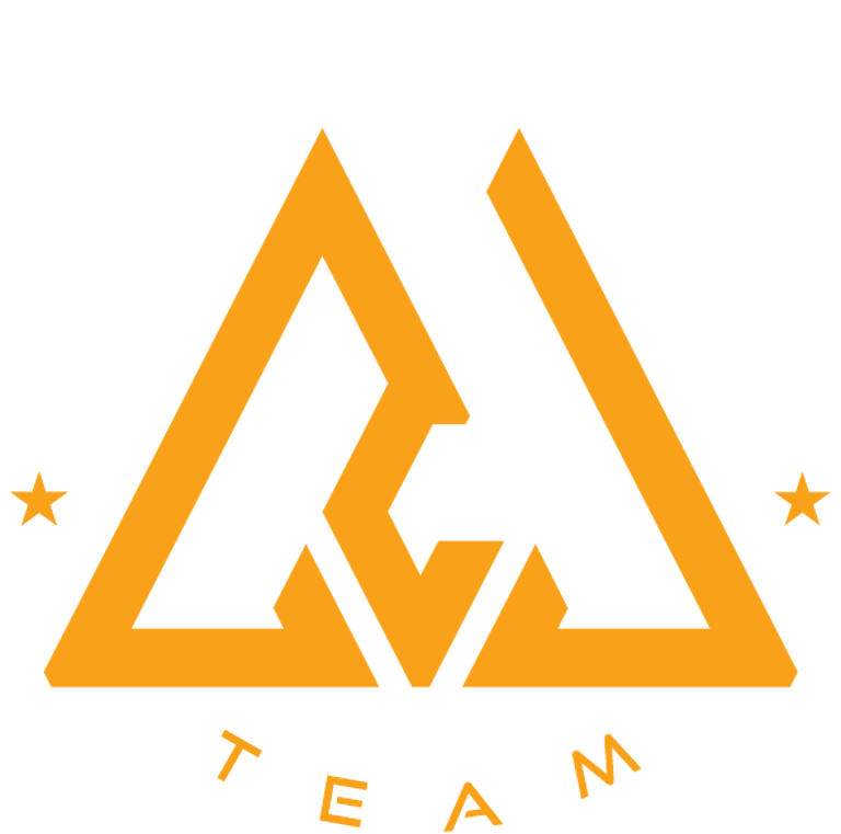 Brazil Academy logo
