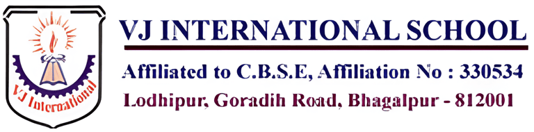 VJ INTERNATIONAL SCHOOL logo