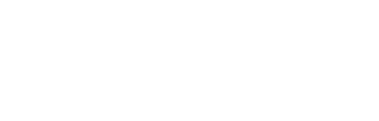 Lean X logo
