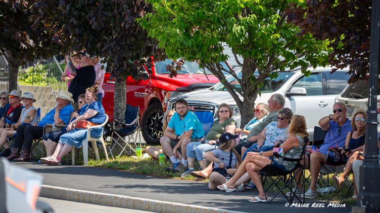 David C Ireland, Jr for Lincoln Town Council logo