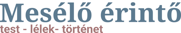 Mesélő érintő logo
