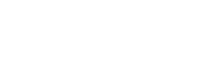 Deskin Design Co. logo