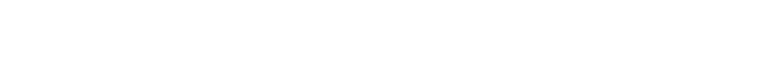 SDG Forumas logo