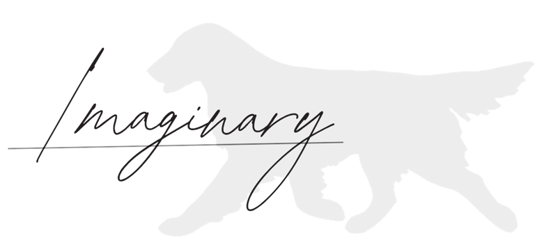 Imaginary Flats logo