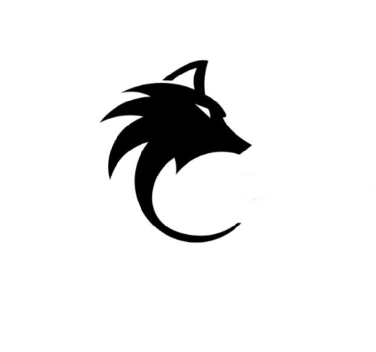 FENRION SOLUTIONS logo