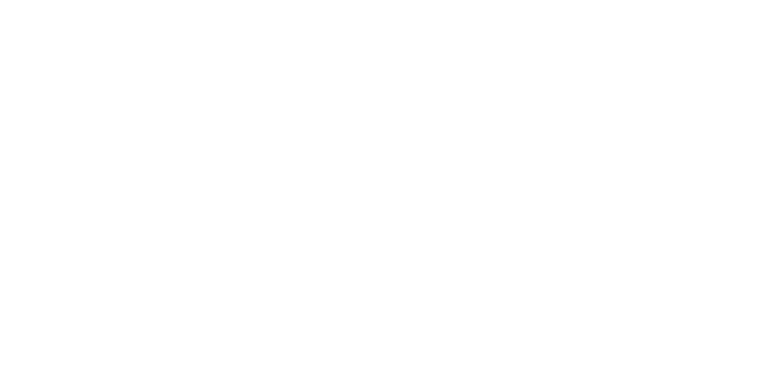 Solan Ocean Racing logo