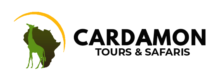 Cardamontours&safaris logo