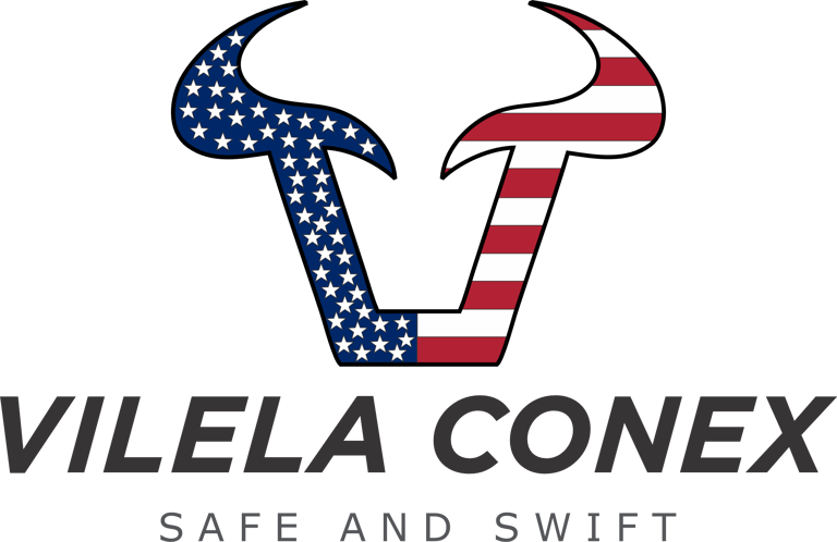 Vilela Conex logo