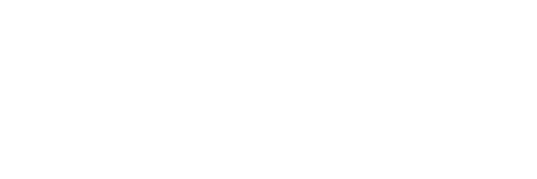Masterslavelyon logo