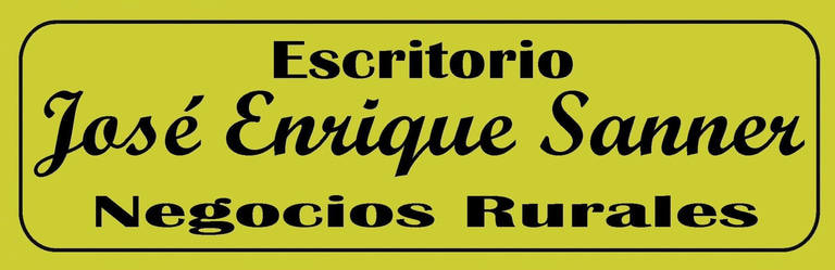 José Enrique Sanner logo