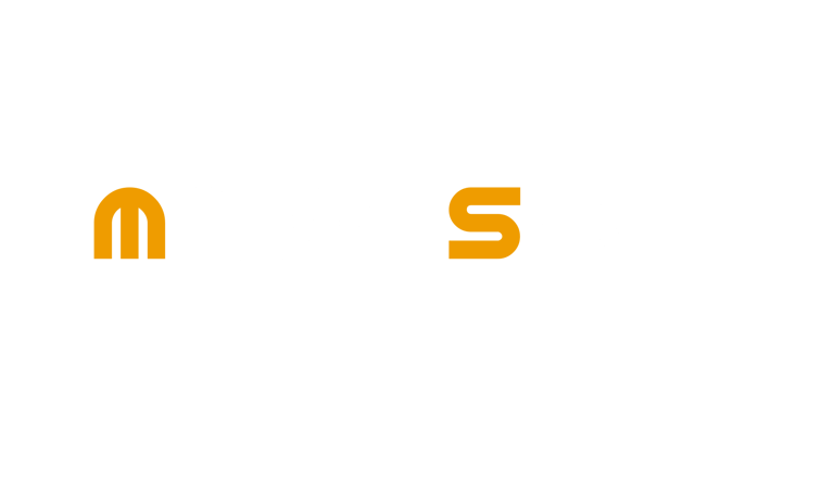 Media Shot logo