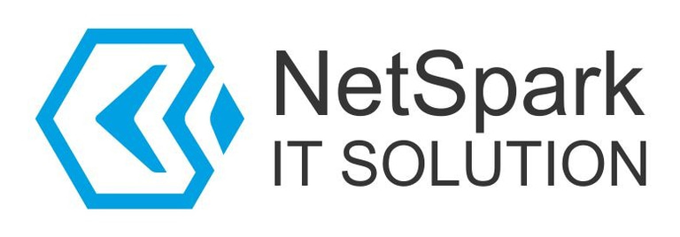 netsparkitsolution logo