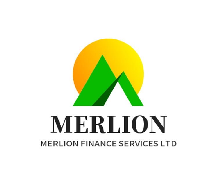 MERLION FINANCE SERVICES LTD logo