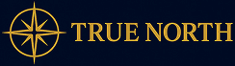TRUE NORTH logo