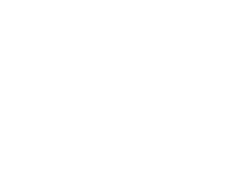Exterior Christmas Light Installation Professionals logo