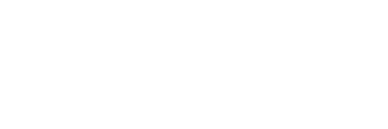 Tri Holdings logo