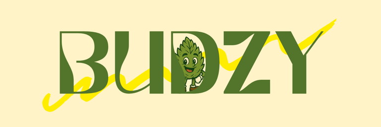 Budzy logo