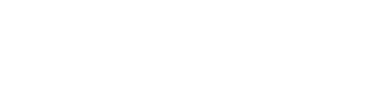 LEM Insurance Services logo