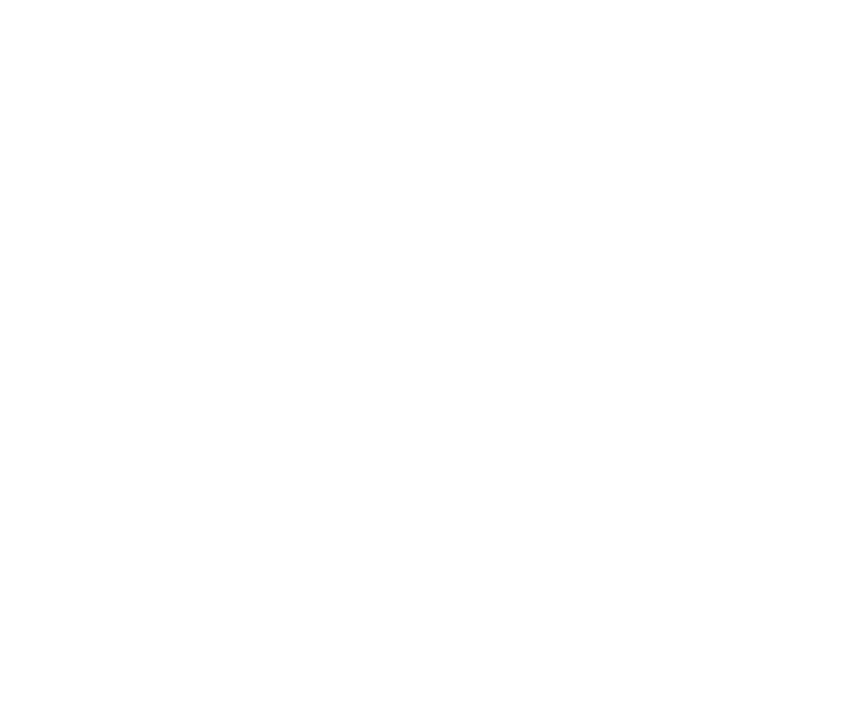 Sam Nawi Films Director / Commercial Director logo