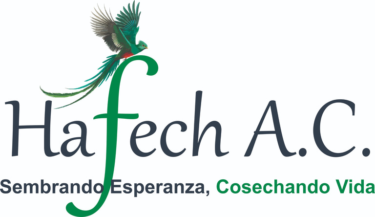 HAFECH A.C. logo
