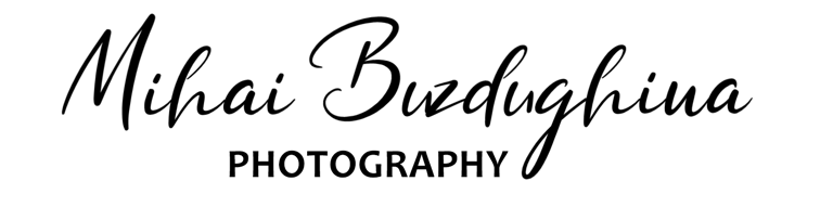 Mihai Buzdughina logo