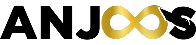 Anjoos Sistemas de Segurança Ltda logo