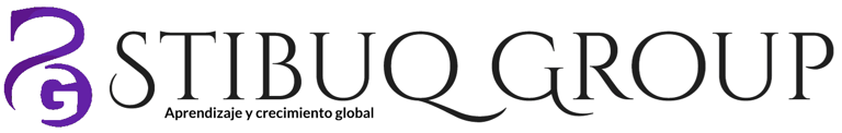 Stibuq Group Negocios & Soluciones Digitales SpA. logo