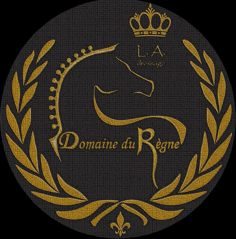 Domaine du Règne logo