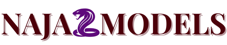 Naja Models logo