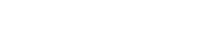 ICONLASHPRO logo