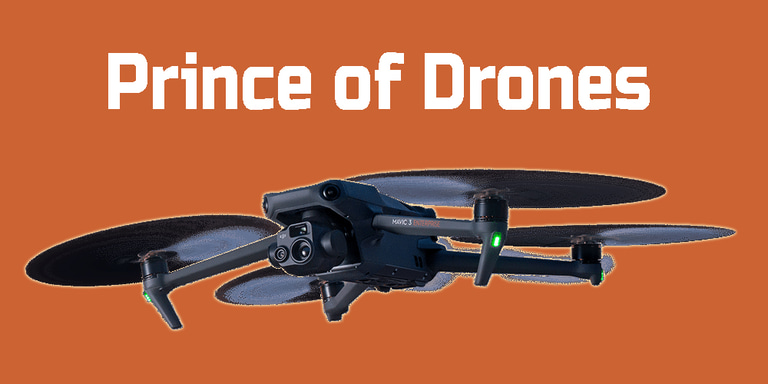 Prince of Drones logo