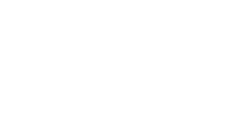 Casepoint Capital logo