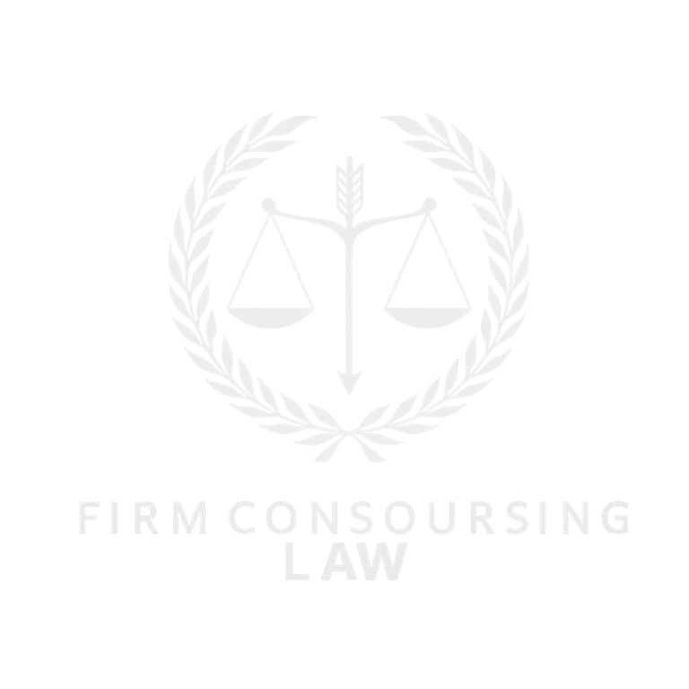 immigration law solutions logo