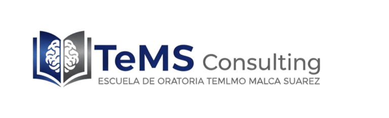 TeMS Consulting logo
