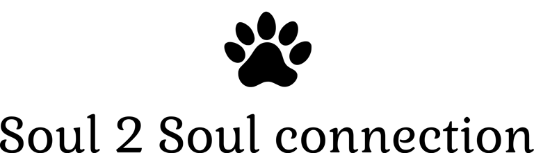 Sunny Mann Animal Communicator, healer and trainer logo