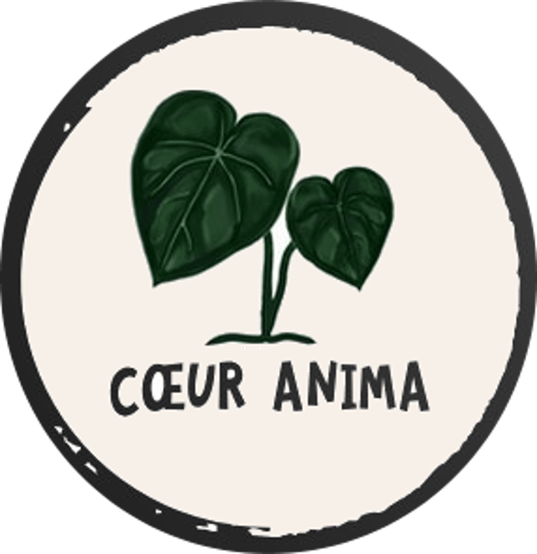 coeur anima logo