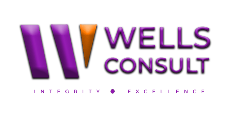 Wells Consult LTD logo