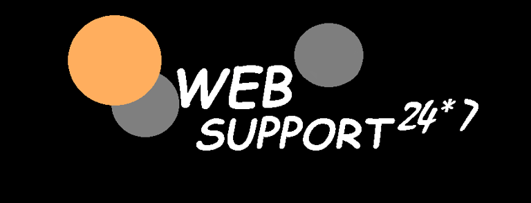 WebSupport24-7 logo