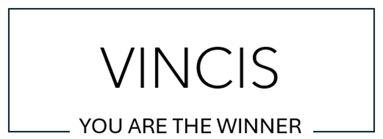 VINCIS logo