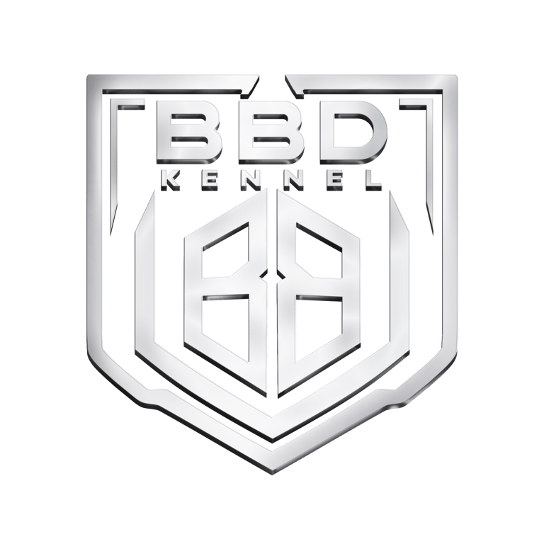 Cane Corso Italiano logo