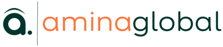 Amina Global logo