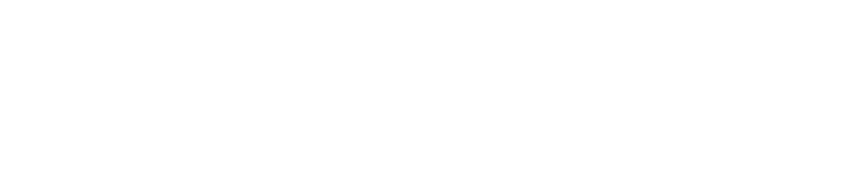 DDM - Data Driven Management logo