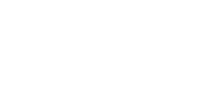 multiservices ad logo