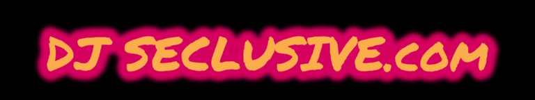 Dj Seclusive logo
