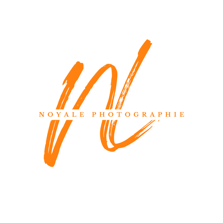 Noyale Leboube Photographie, photographe maternité & famille logo